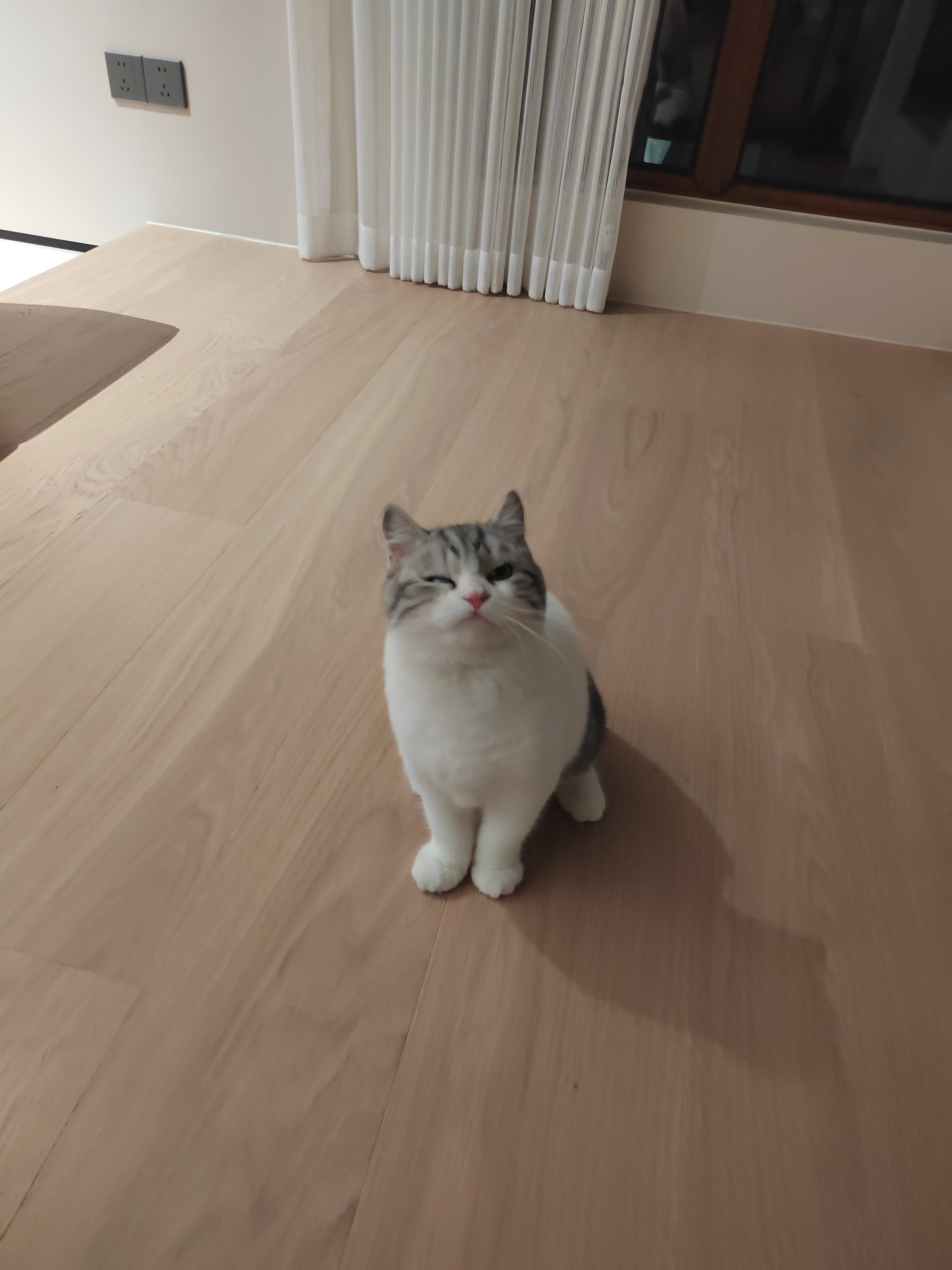 D头像
